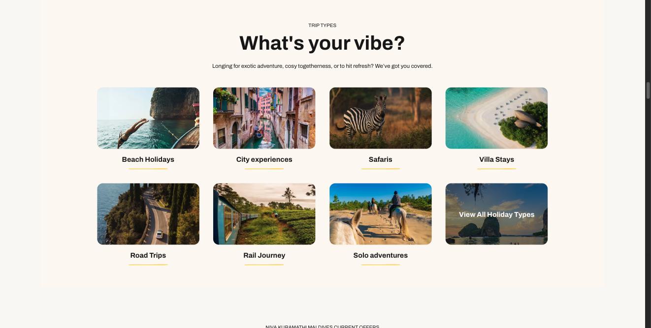 Eight picture tiles under 'What's your vibe?', labelled Beach Holidays, City experiences, Safaris and so on, with the last tile reading View All Holiday Types over a darkened photo.
